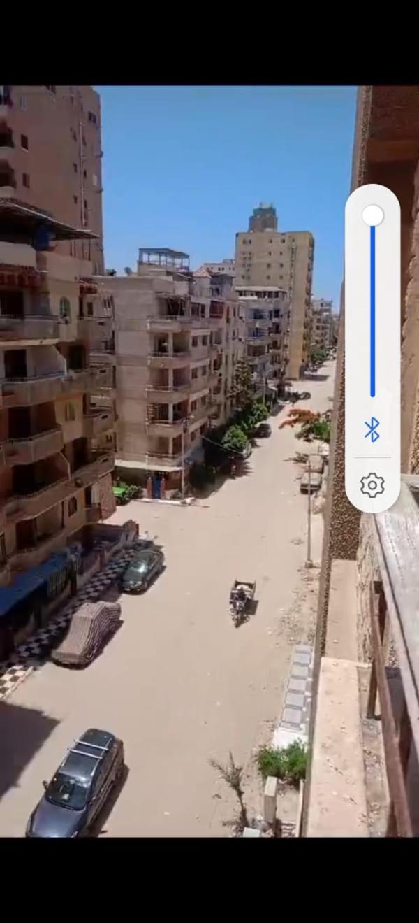 شقه رائعه بشاطىء النخيل Alexandria