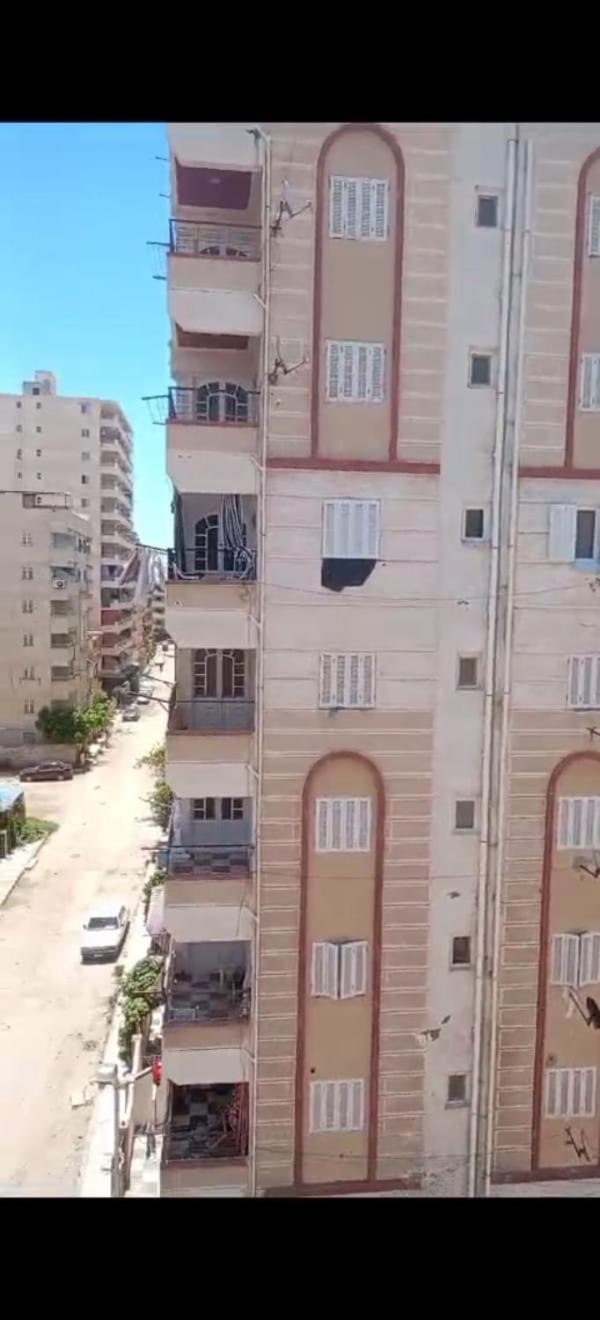 شقه رائعه بشاطىء النخيل * Alexandria